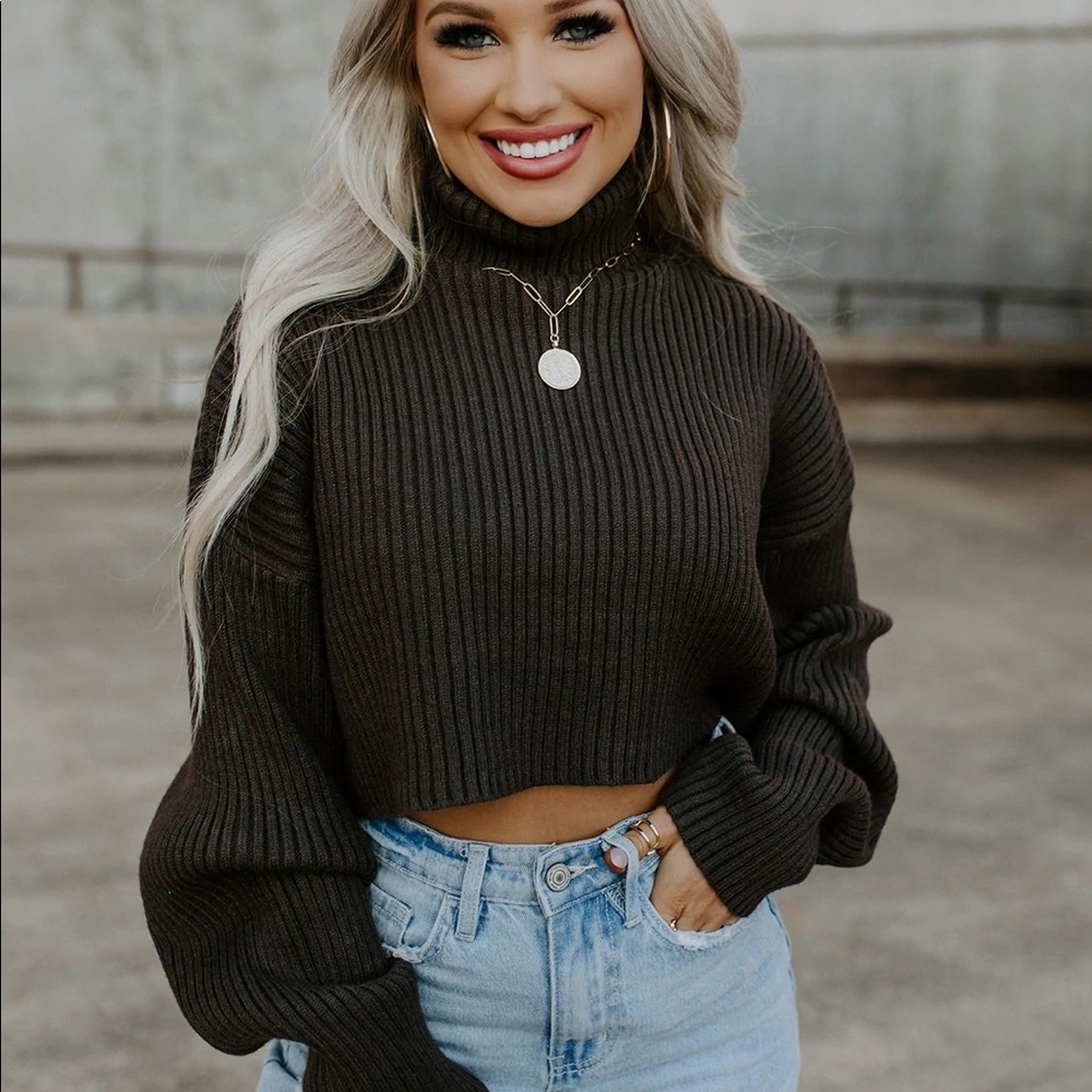 Brown Cropped Turtleneck Sweater